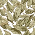 Dry Bay Leaves Pattern, Laurel Leaf Texture, Natural Spicy Bayleaf Background, Fragrant Ingredient Royalty Free Stock Photo