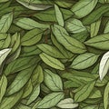Dry Bay Leaves Pattern, Laurel Leaf Texture, Natural Spicy Bayleaf Background, Fragrant Ingredient Royalty Free Stock Photo