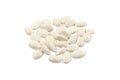 Dry beans isolated on white background. Many white color of haricot beans isolated on white in studio Royalty Free Stock Photo