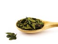 Dry bearberry leaves lie in a wooden spoon on a white background