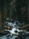 Dry bed of a mountain river with fallen tree trunks. Mountain river - stream flowing through green forest. Stream in Royalty Free Stock Photo