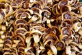 Dry Betel nuts thai texture