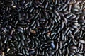 Dry black dark purple kidney beans seeds. Ecological green photo. Healthy vegetarian food. Vegan photo Royalty Free Stock Photo