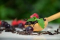 dry black tea in a wooden spoon on a white plate with raspberries and mint. healthy healing berry tea