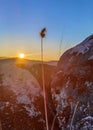 A dry blade of grass against the background of sunset and stones. Royalty Free Stock Photo