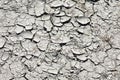 Dry bleached earth in large cracks Royalty Free Stock Photo