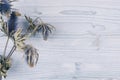 Dry blue flower on light soft blue wooden board. Decorative spring background with copy space, top view.