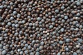 Dry Blue Juniper berries texture Royalty Free Stock Photo