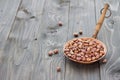Dry borlotti beans in a copper bowl Royalty Free Stock Photo