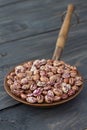 Dry borlotti beans in a copper bowl Royalty Free Stock Photo