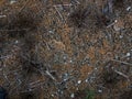 Dry bottom of the lake, a consequence of climate change