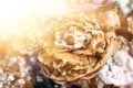 Dry bouquet Royalty Free Stock Photo