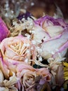 Dry bouquet of pink roses Royalty Free Stock Photo