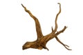 Dry branch driftwood for aquarium isolated on white background, clipping path included Royalty Free Stock Photo