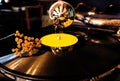 A dry branch of tansy lies on the plate of an old gramophone, close-up