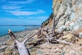 dry branched snag, on a rocky steep bank of the river Royalty Free Stock Photo