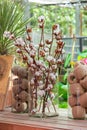 Dry branches of natural cotton with mature bolls in a glass vase. Skein of craft cotton thread twine rope. Harvest cotton