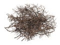 dry branches of tree on white background Royalty Free Stock Photo