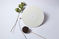 Dry branches and white vinyl audio record on a light background with copy space. Flat lay Royalty Free Stock Photo