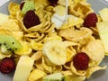 Dry breakfast cereal with fruits, a stream of milk. Royalty Free Stock Photo