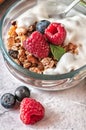 Dry breakfast of granola and wild berries.