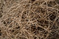 Dry brown vines are evenly textured intertwined on the ground