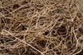 Dry brown cut vines are evenly textured intertwined on the ground Royalty Free Stock Photo