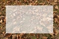 Dry brown fallen leaves on the ground in forest, background with semi transparent blank white text frame.