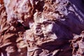 Dry brown leaf texture, natural organic background, close up detail, soft sepia-purple wavy lines