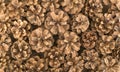 Dry Brown Pine Cones Background, Texture or Pattern Royalty Free Stock Photo