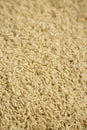 Dry Brown Rice background, low angle view Royalty Free Stock Photo