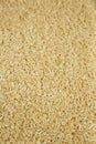 Dry Brown Rice background, side view Royalty Free Stock Photo