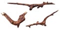 Dry, brown, smooth, wooden twigs, fancy, beautifully shaped branches, home decor.