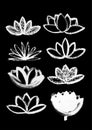 Dry brush lotus set