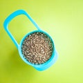 Dry buckwheat in a color container