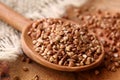 Dry buckwheat groats Royalty Free Stock Photo