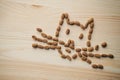 Dry cat food on the background of a girl in the form of a Christmas tree.