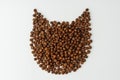 Dry cat food laid out in the shape of a cat's head on white background Royalty Free Stock Photo