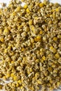 Dry chamomile flowers tea on bright background, herbal plants Royalty Free Stock Photo