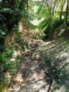 Dry channel of the natural landscape of Floresta