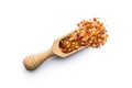 Dry chili pepper flakes in wooden scoop. Crushed red peppers isolated on white background Royalty Free Stock Photo