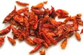 Dry Chili Peppers Royalty Free Stock Photo