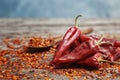 Dry chili peppers and powder Royalty Free Stock Photo