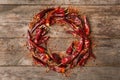 Dry chili peppers and powder Royalty Free Stock Photo