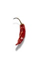 Dry Chilli Royalty Free Stock Photo
