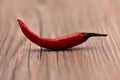 Dry Chilli Peppers Royalty Free Stock Photo