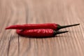 Dry Chilli Peppers Royalty Free Stock Photo