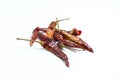 Dry chilli Royalty Free Stock Photo