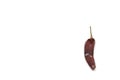 Dry chilli Royalty Free Stock Photo