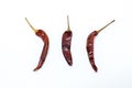 Dry chilli Royalty Free Stock Photo